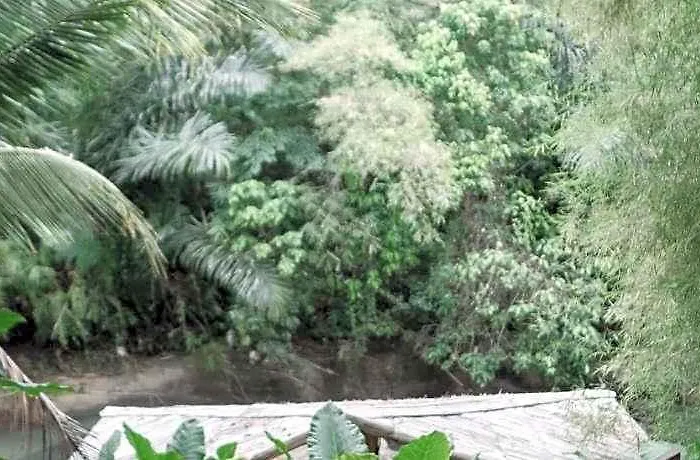 Sun Sang Eco Retreats Selemadeg